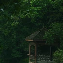 二郎山喇叭河景区游客中心 - 雅安市旅游 缩略图 8