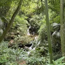 蜀山·云溪谷 - 成都市旅游 缩略图 6