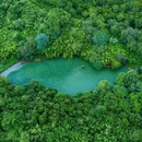南京老山国家森林公园 - 南京市旅游 缩略图 3
