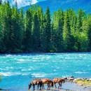 喀纳斯游客服务中心 - 阿勒泰地区旅游 缩略图 1