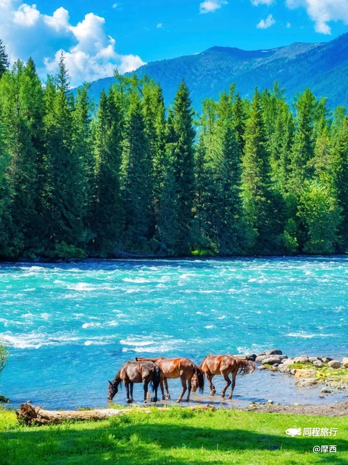 喀纳斯游客服务中心 - 阿勒泰地区旅游