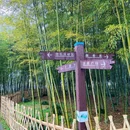 锦屏公园 - 台州旅游 缩略图 8