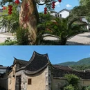 棠溪村 - 宁德市旅游 缩略图 2