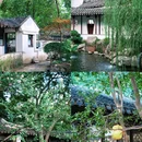 瞻园 - 南京市旅游 缩略图 4