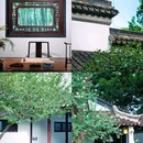 瞻园 - 南京市旅游 缩略图 5