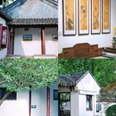 瞻园 - 南京市旅游 缩略图 7