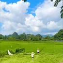 东风韵景区 - 红河哈尼族彝族自治州旅游 缩略图 6