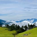 孔雀山 - 普洱市旅游 缩略图 6