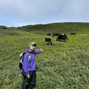 孔雀山 - 普洱市旅游 缩略图 8