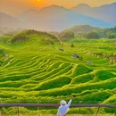 云和梯田景区 - 丽水市旅游 缩略图 1