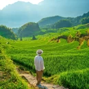 云和梯田景区 - 丽水市旅游 缩略图 2