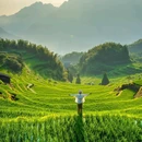 云和梯田景区 - 丽水市旅游 缩略图 3
