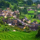 云和梯田景区 - 丽水市旅游 缩略图 5