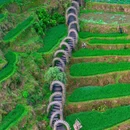 云和梯田景区 - 丽水市旅游 缩略图 9