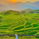 云和梯田景区 - 丽水市旅游 缩略图 6