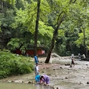 张家界国家森林公园 - 张家界市旅游 缩略图 9