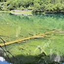 九寨沟景区 - 阿坝藏族羌族自治州旅游 缩略图 3