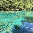 九寨沟景区 - 阿坝藏族羌族自治州旅游 缩略图 2