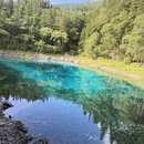 九寨沟景区 - 阿坝藏族羌族自治州旅游 缩略图 4
