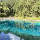 九寨沟景区 - 阿坝藏族羌族自治州旅游 缩略图 1