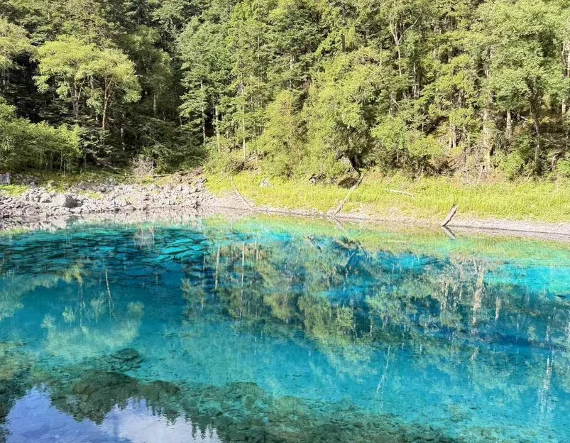 九寨沟景区 - 阿坝藏族羌族自治州旅游 1