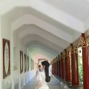 宜兴龙背山森林公园 - 无锡市旅游 缩略图 6