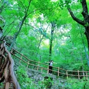 薄刀峰风景区游客中心 - 黄冈市旅游 缩略图 3