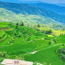 肇兴侗寨 - 黔东南苗族侗族自治州旅游 缩略图 6