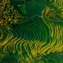 云和梯田景区 - 丽水市旅游 缩略图 4