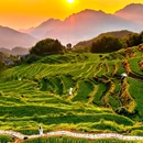 云和梯田景区 - 丽水市旅游 缩略图 2