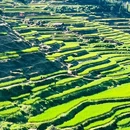 云和梯田景区 - 丽水市旅游 缩略图 6