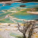 黄龙风景区 - 阿坝藏族羌族自治州旅游 缩略图 1