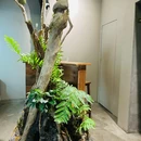 off Office coffee - 厦门市旅游 缩略图 4
