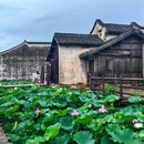 乌镇西栅景区 - 嘉兴市旅游 缩略图 2