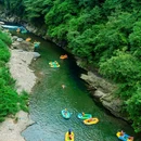 眉山瓦屋山国家森林公园 - 眉山市旅游 缩略图 3