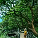 眉山瓦屋山国家森林公园 - 眉山市旅游 缩略图 1