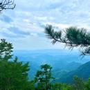 临安西天目大树王景区 - 杭州市旅游 缩略图 6