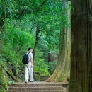 临安西天目大树王景区 - 杭州市旅游 缩略图 8