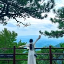 临安西天目大树王景区 - 杭州市旅游 缩略图 7