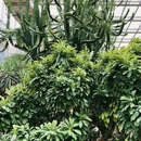 成都植物园 - 成都旅游 缩略图 3