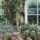 成都植物园 - 成都旅游 缩略图 4