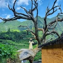 后畲村 - 丽水市旅游 缩略图 1