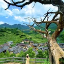 后畲村 - 丽水市旅游 缩略图 4