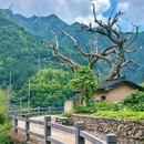 后畲村 - 丽水市旅游 缩略图 2