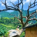 后畲村 - 丽水市旅游 缩略图 6