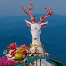 云上草原第一游客中心(北弄) - 湖州市旅游 缩略图 2