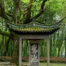 鲁迅故里景区 - 绍兴市旅游 缩略图 5