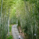成都阳平玄观 - 成都市旅游 缩略图 1