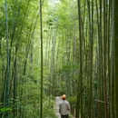 成都阳平玄观 - 成都市旅游 缩略图 2
