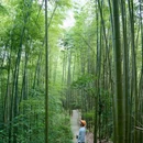 成都阳平玄观 - 成都市旅游 缩略图 4